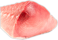 Premium tuna loin for European market